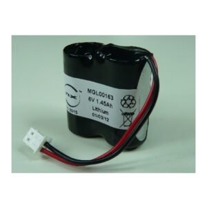 Global Dos pilas de Litio 2xCR123 2S1P ST1 6V 1.45Ah