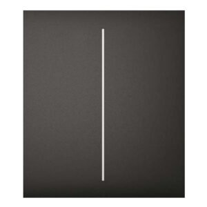AjaxAjax LightSwitch CenterButton 2-gang. Pulsador Central Doble. Color Negro